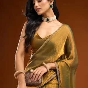 Solid Beads and Stones Saree